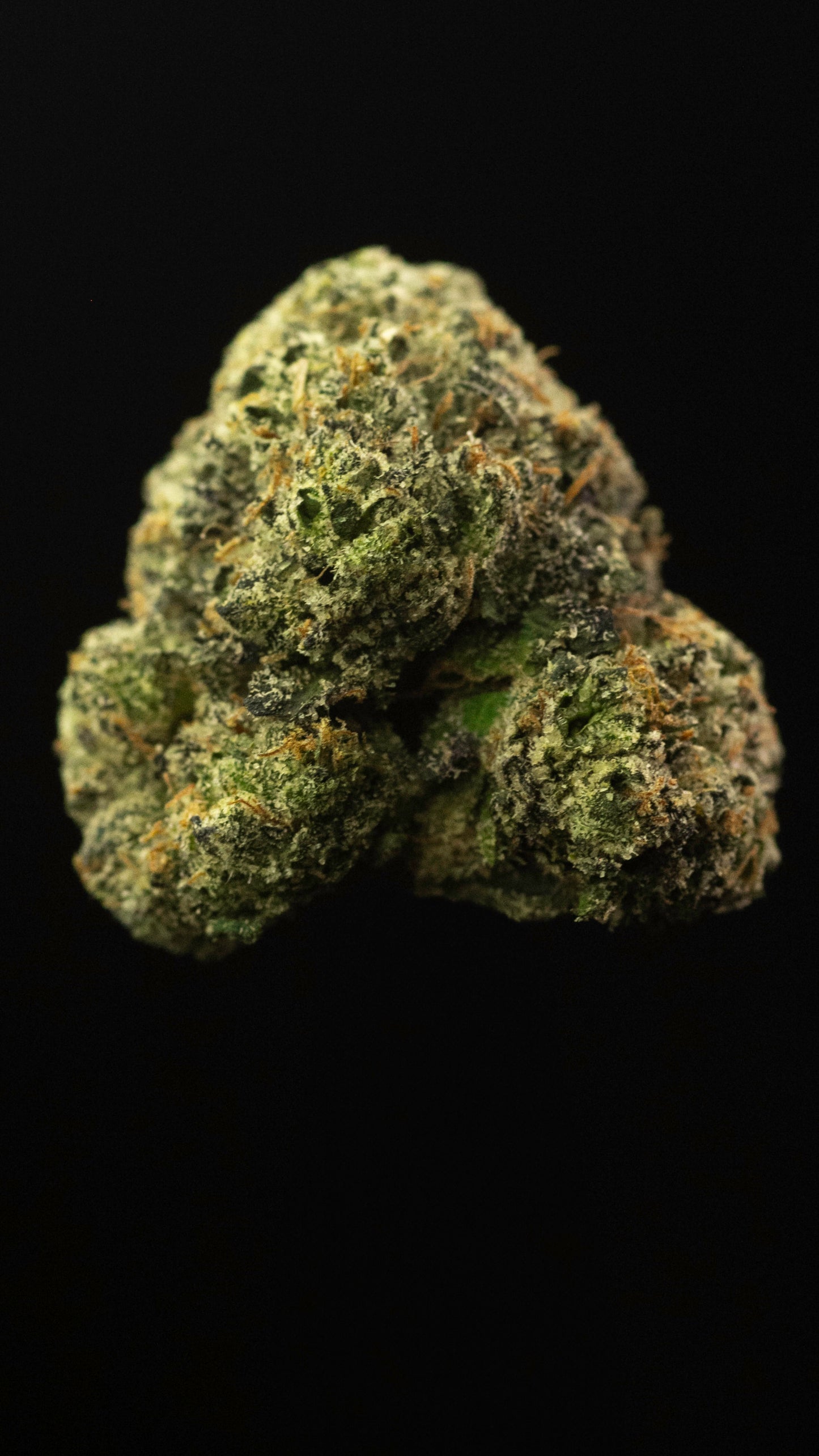 GG#4 - THC-P - Sativa