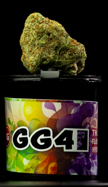 GG#4 - THC-P - Sativa